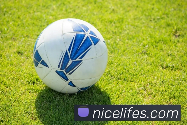 leyu乐鱼官方网站品牌故事