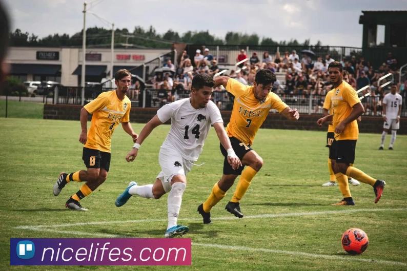 leyu乐鱼官方网站服务体系